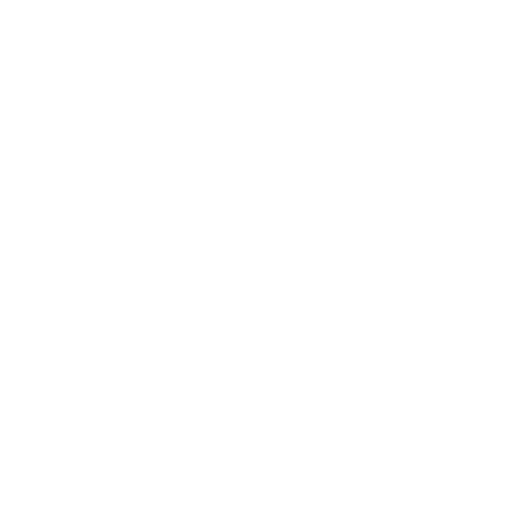 feature-item-3